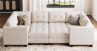 Sleeper Sectional Couch