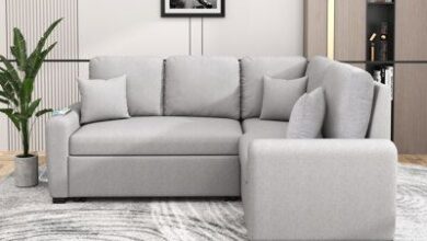 Sleeper Sectional Sofa With Chaise