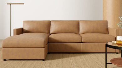 Sleeper Sectional Sofa With Chaise