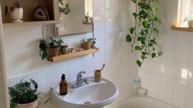 Small Bathroom Ideas