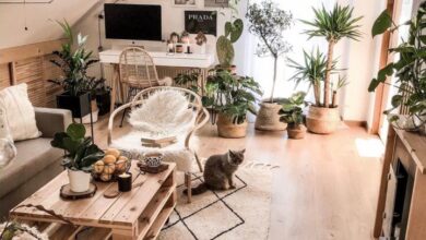 Small Living Room Ideas