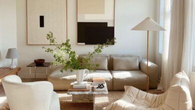 Small Living Room Ideas