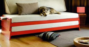 Sofa Bed Loveseat