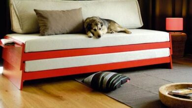 Sofa Bed Loveseat