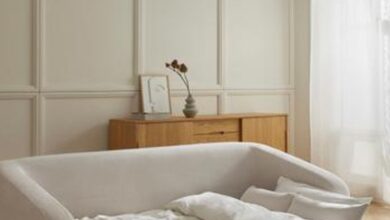 Sofa Cama