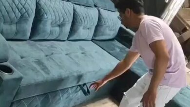 Sofa Cum Bed