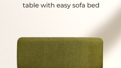 Sofa Cum Bed