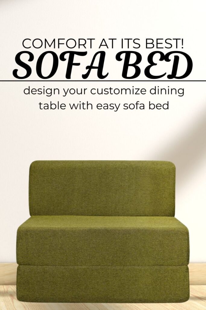 Sofa Cum Bed