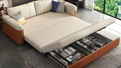 Sofa Cum Bed