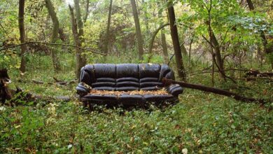 Sofa beds in retro style
