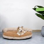 Sofa beds with removable cover
