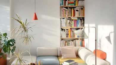 Sofa beds with removable cover