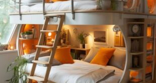 amazing bunk beds