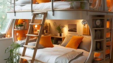 amazing bunk beds