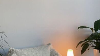 Bedroom Couch