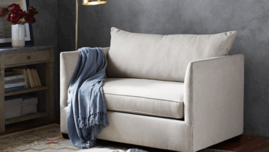 Twin Sofa Bed