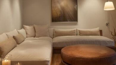 Twin Sofa Bed