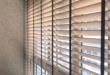 Venetian Blinds