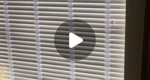 Venetian Blinds