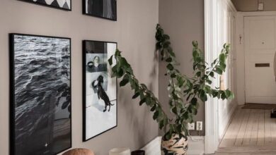 Wall Colors rooms