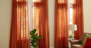 Window Curtains