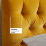 Yellow Beds