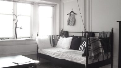 Youth sofa beds
