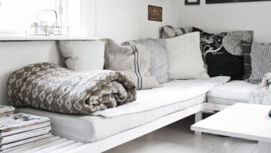 Youth sofa beds