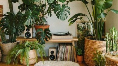 furniture decoration ideas