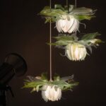 lighting offers