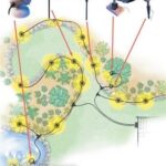low voltage lighting for landscaping