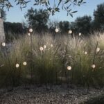 outdoor luminaires