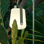 outdoor luminaires