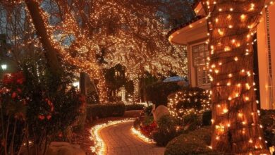 outdoor tree lighting