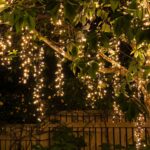 outdoor tree lighting