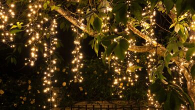 outdoor tree lighting