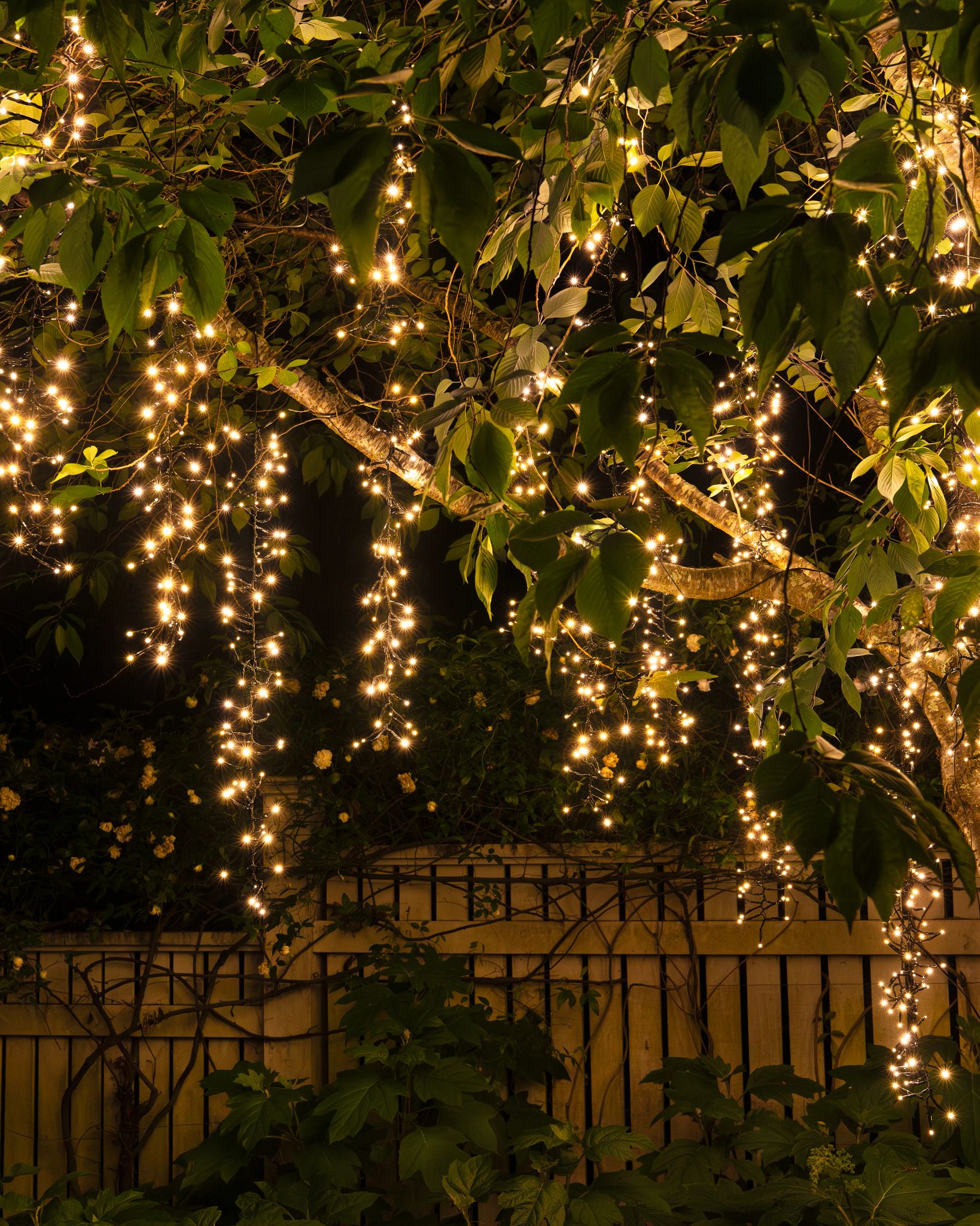 outdoor tree lighting Transform Your Outdoor Space with Stunning Tree Illumination