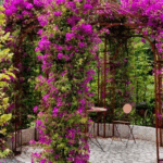 patio with flowering vines