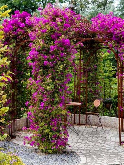 patio with flowering vines Beautiful Blooms: Enhance Your Outdoor Space with Cascading Vines