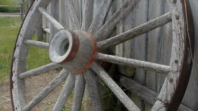 wagon wheel crown