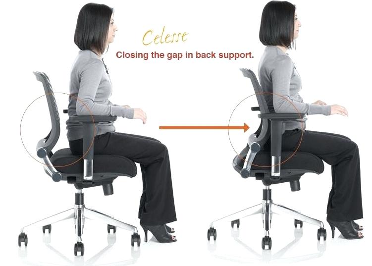 office chair back support appealing adjustable lumbar support office chair  with office chairs lumbar support ergonomic