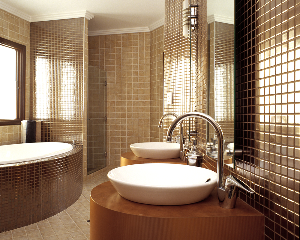 Wonderful Interior Designs Bathroom