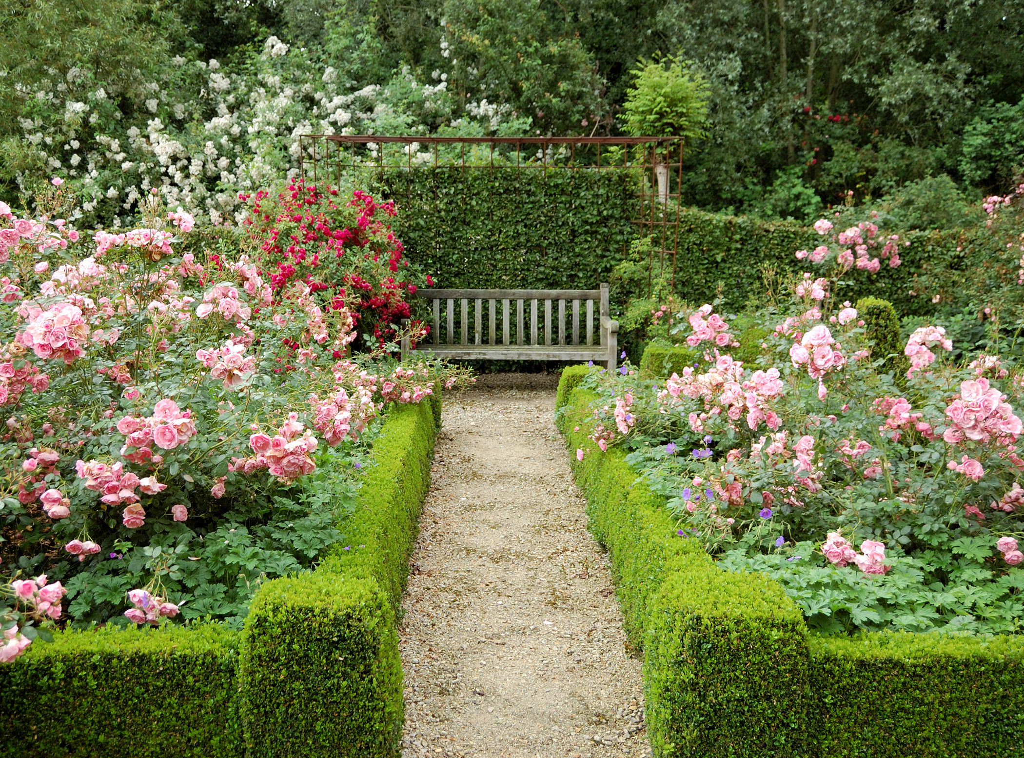 english garden design ideas