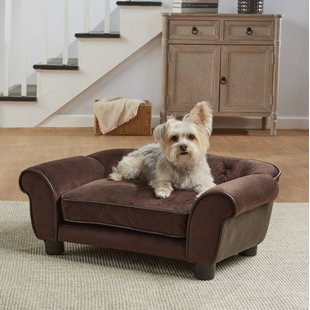 Lonnie Cleo Dog Sofa with Cushion