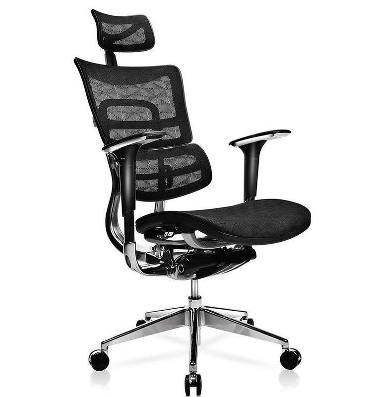Canarsie Deluxe Executive Ergonomic Mesh Office Chair