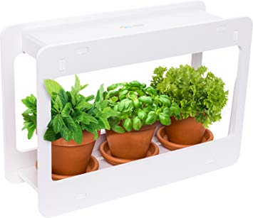 Traveller Location : Mindful Design LED Indoor Herb Garden - at Home Mini Window  Planter Kit for Herbs, Succulents, and Vegetables (White) : Garden & Outdoor