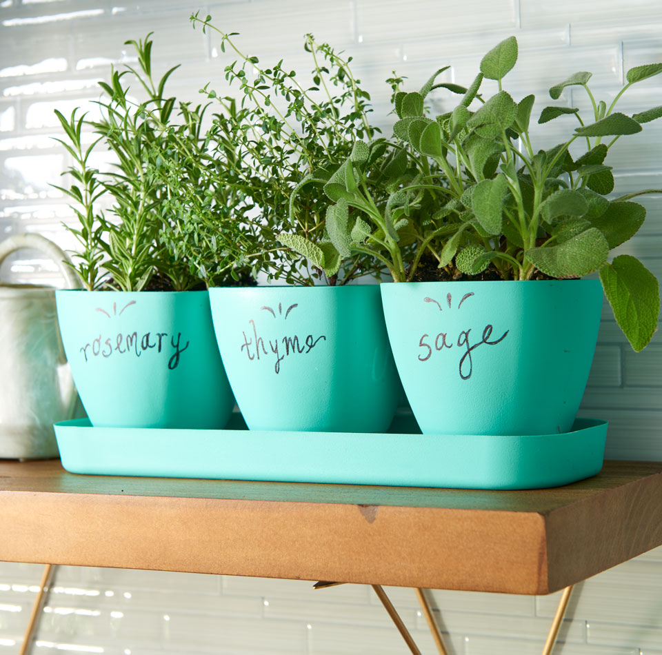 You can plant herbs in virtually any container, so long as it has some type  of drainage and something to protect the surface underneath, such as a  saucer or
