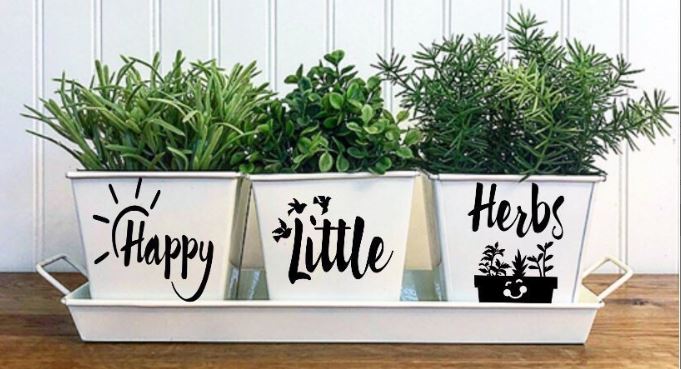3 white pots with the words Happy little herbs printed on them.