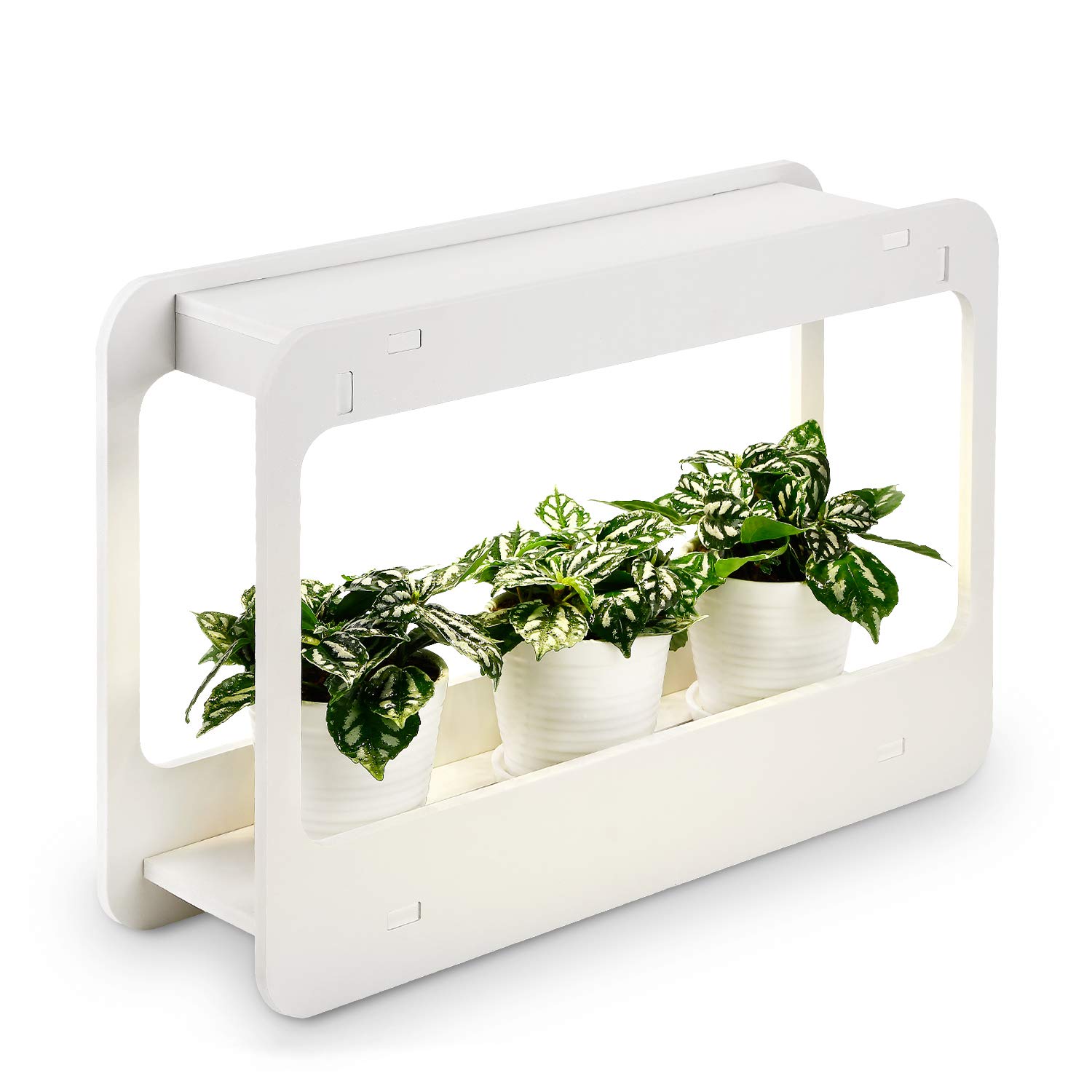 TORCHSTAR Plant Grow LED Light Kit, Indoor Herb Garden with Timer Function,  24V Low Voltage, Indoor Harvest Elite for Gourmet or Plant Enthusiasts,