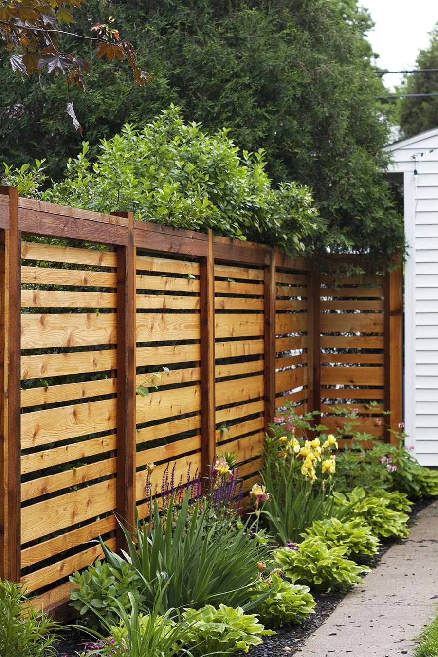 60 Privacy Fence Ideas and Design